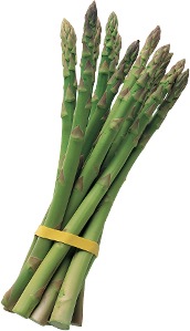 asparagi verdi coltivati - Clicca l'immagine per chiudere